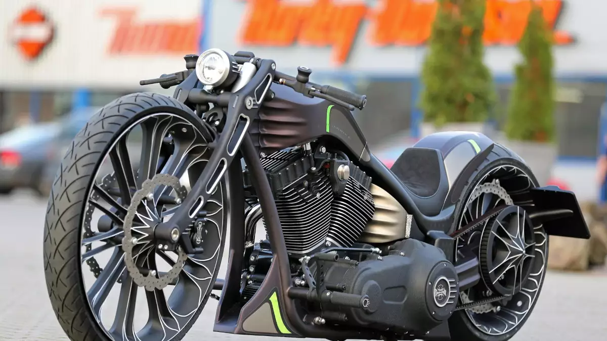 Harley Davidson Screamin' Eagle 'Radical' by Thunderbike