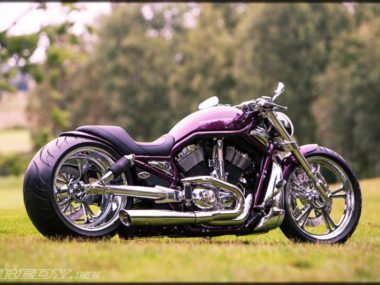 Harley Davidson V Rod Purple by Fredy