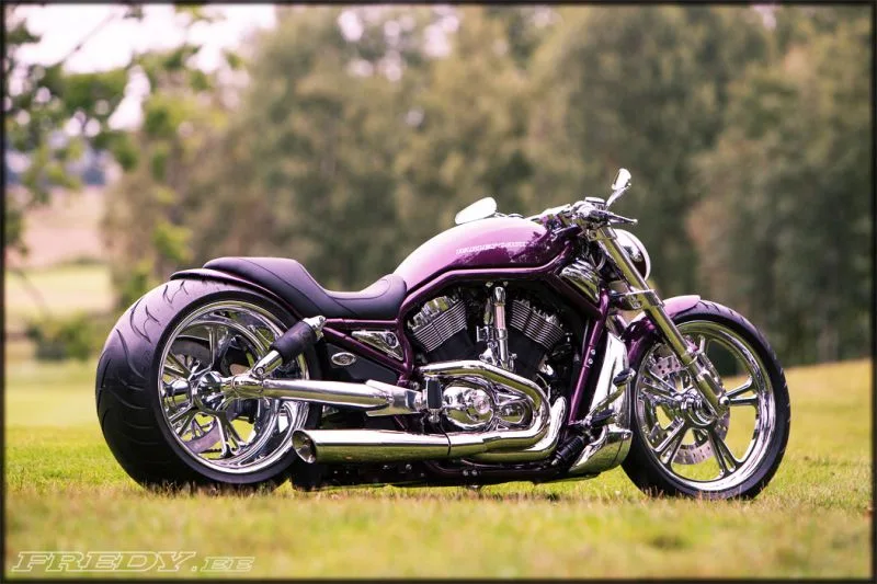 Harley Davidson V Rod Purple by Fredy