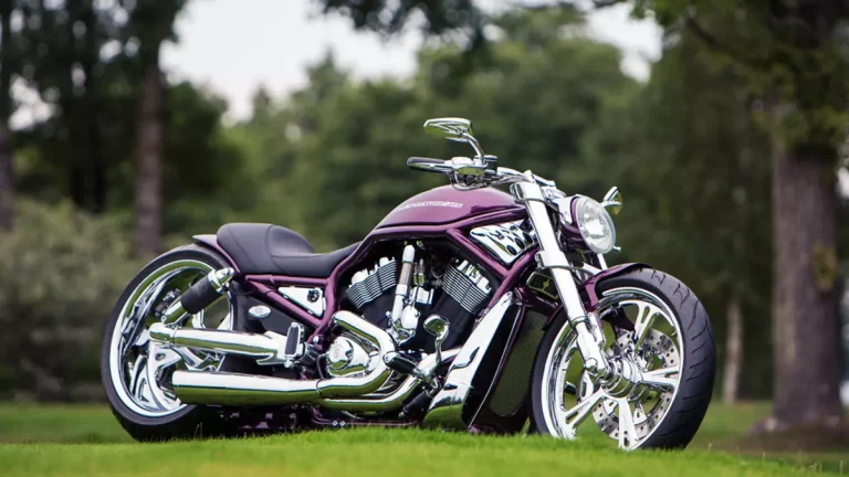Harley-Davidson-V-Rod-Purple-heart-by-Fredy