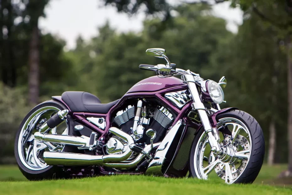 Harley-Davidson-V-Rod-Purple-heart-by-Fredy