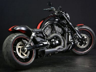 Harley Davidson V Rod “Cobra Bound” by Bad Land