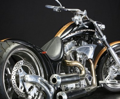 Harley-Davidson Twin Cam “Enciel” by Bad Land