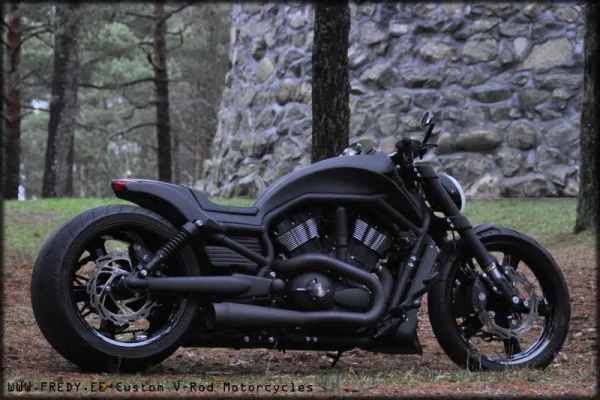 harley-davidson-v-rod night by Fredy