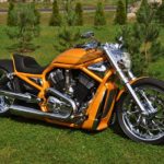 Harley Davidson V Rod orange by Fredy