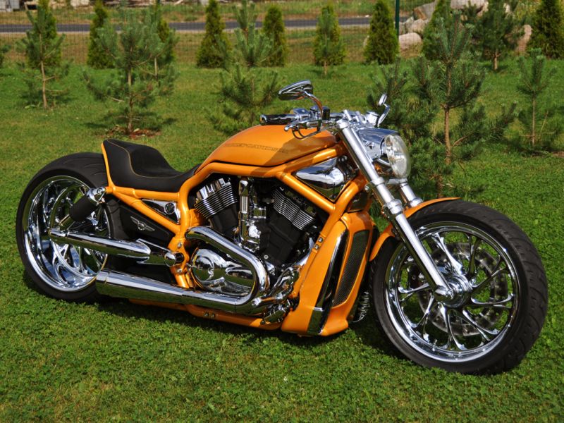 Harley Davidson V Rod “Orange” by Fredy