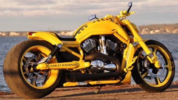 Harley Davidson V Rod yellow by Fredy