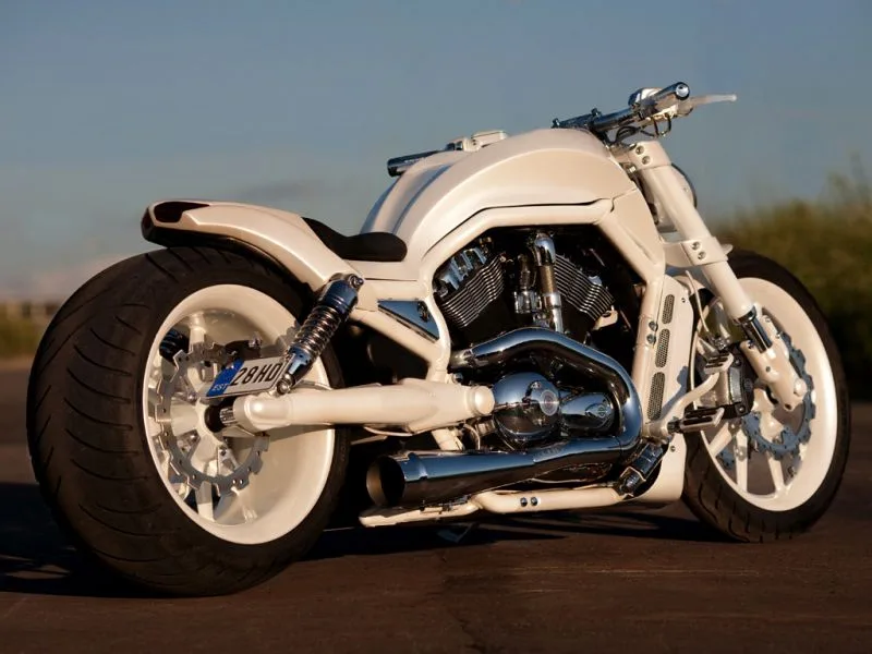 Harley Davidson V Rod white pearl by Fredy