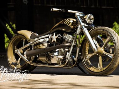 Harley-Davidson Softail “Ego shooter” by Thunderbike