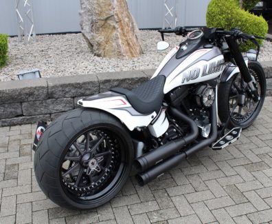 harley-davidson-softail-no-limit