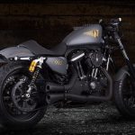 Harley-Davidson Sportster WCR 900 by Walz Hardcore Cycles