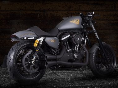 Harley-Davidson Sportster 'WCR 900' by Walz Cycles