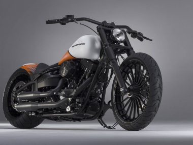 harley-davidson-softail-SUNSET RACER-bundnerbike-2
