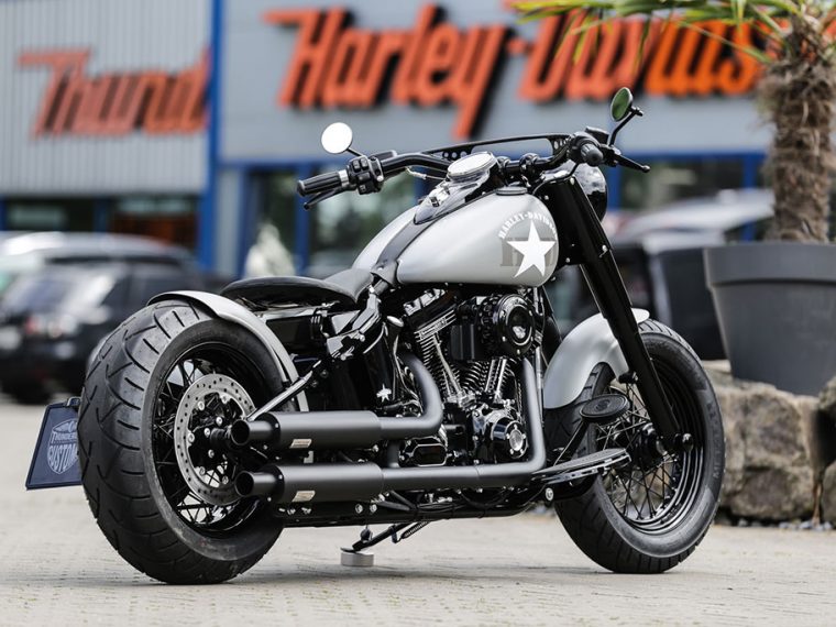 HARLEY-DAVIDSON MOTORCYCLES · CUSTOM BIKES