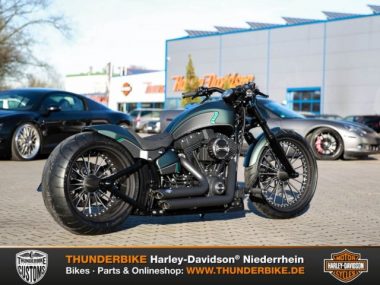 Harley-Davidson FXSB Softail Breakout Thunderbike TORQUE 2