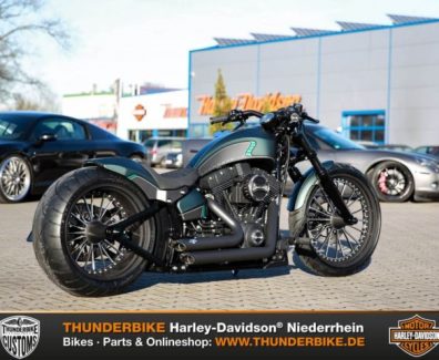Harley-Davidson FXSB Softail Breakout Thunderbike TORQUE 2