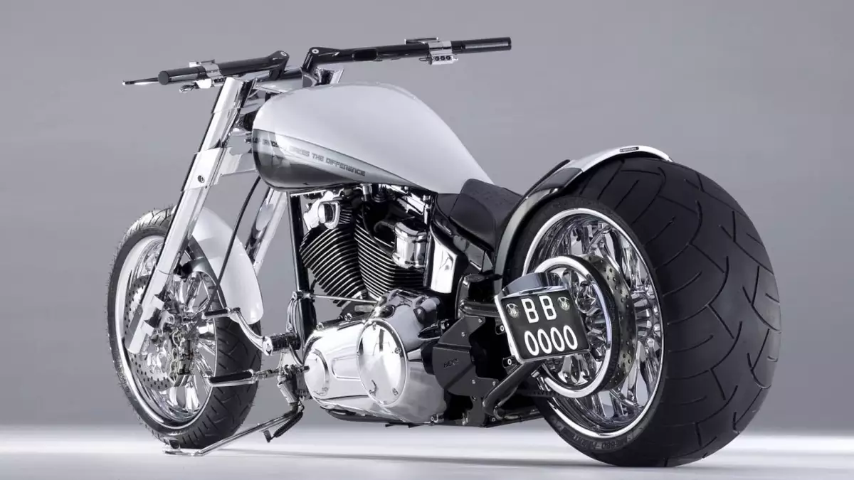 Harley-Davidson Softail MAKES THE DIFFERENCES by Bünderbike