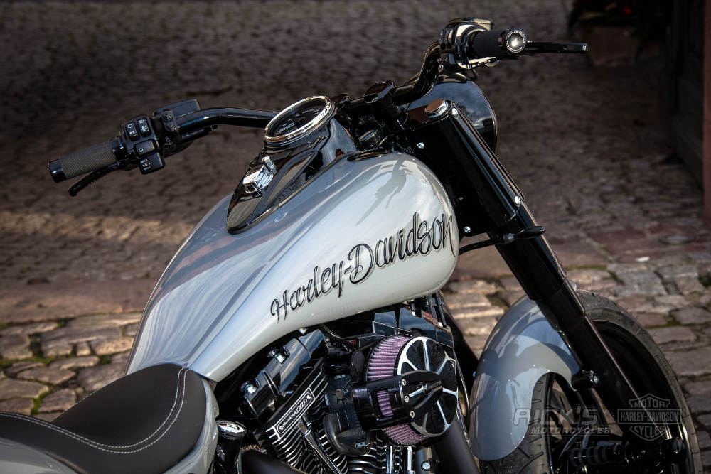 Harley-Davidson Softail Fatboy 2016 bby Rick's motorcycles