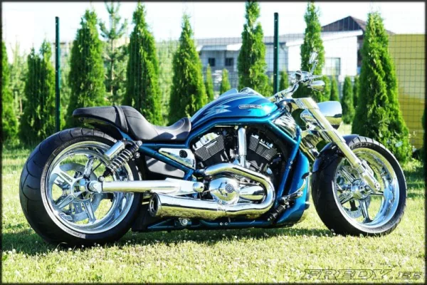 Harley Davidson V Rod Chrome by Fredy