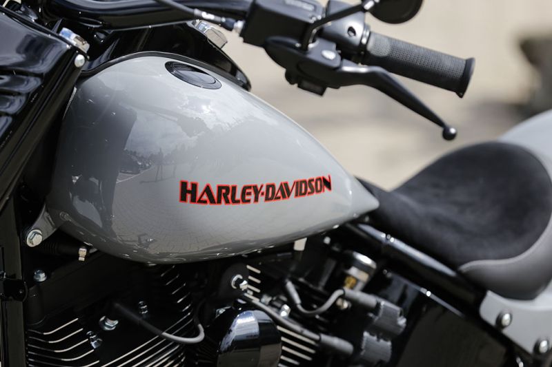 Harley Davidson Softail Slim Freespoke by Thunderbike 03