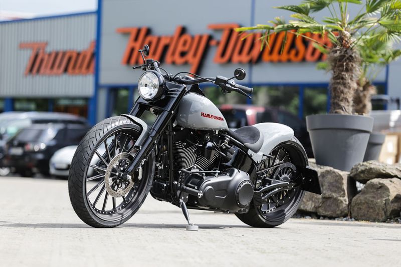 Harley Davidson Softail Slim Freespoke by Thunderbike 03
