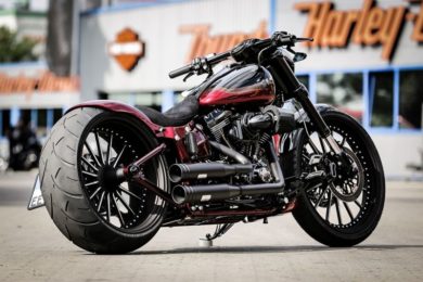 Harley Davidson Softail 