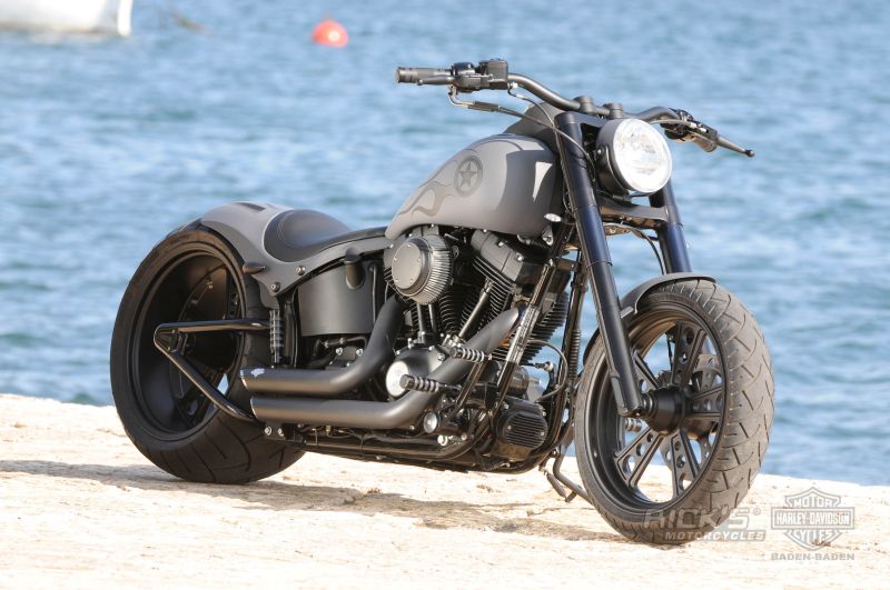 Harley-Davidson Softail Cross Bones by Rick’s Motorcycles