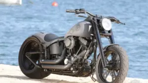 Harley-Davidson Softail Cross Bones by Rick's Motorcycles Harley-Davidson Softail Cross Bones by Rick’s Motorcycles