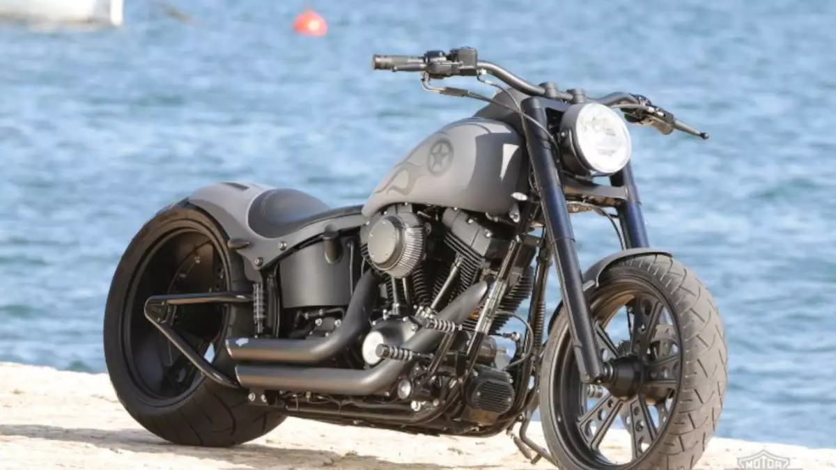 Harley-Davidson Softail Cross Bones by Rick's Motorcycles Harley-Davidson Softail Cross Bones by Rick’s Motorcycles