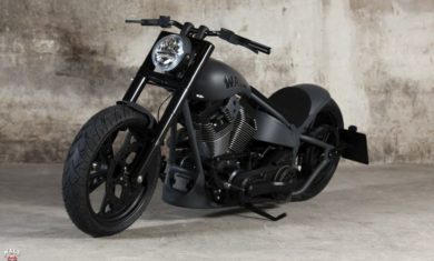 Harley-Davidson ADRENALINE DOUBLE GREY by Walz Hardcore Cycles 1