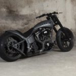 Harley-Davidson ADRENALINE DOUBLE GREY by Walz Hardcore Cycles 1