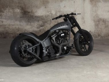 Harley-Davidson ADRENALINE DOUBLE GREY by Walz Hardcore Cycles 6
