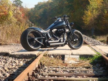 Harley Davidson Softail Cross Bones Viva la Vida by Rick’s motorcycles 1