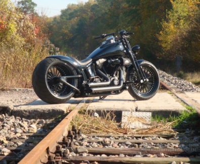 Harley Davidson Softail Cross Bones Viva la Vida by Rick’s motorcycles 1