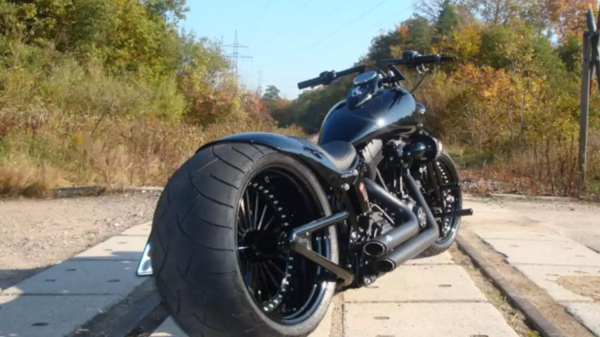 Harley Davidson Softail Cross Bones by Rick's Motorcycles Harley Davidson Softail Cross Bones by Rick’s Motorcycles