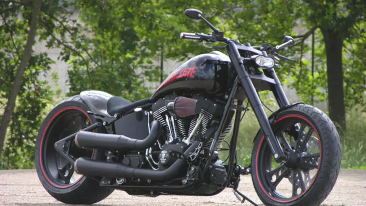 Harley-Davidson Softail 'Nightmare' by Walz Cycles Harley-Davidson Softail ‘Nightmare’ by Walz Cycles