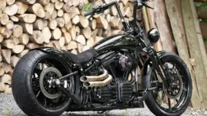 Harley-Davidson Softail ‘New Legend’ by BTChoppers