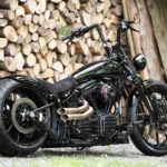 Harley-Davidson softail new leged by btchoppers