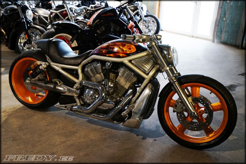 Harley-Davidson v-rod muscle six by fredy