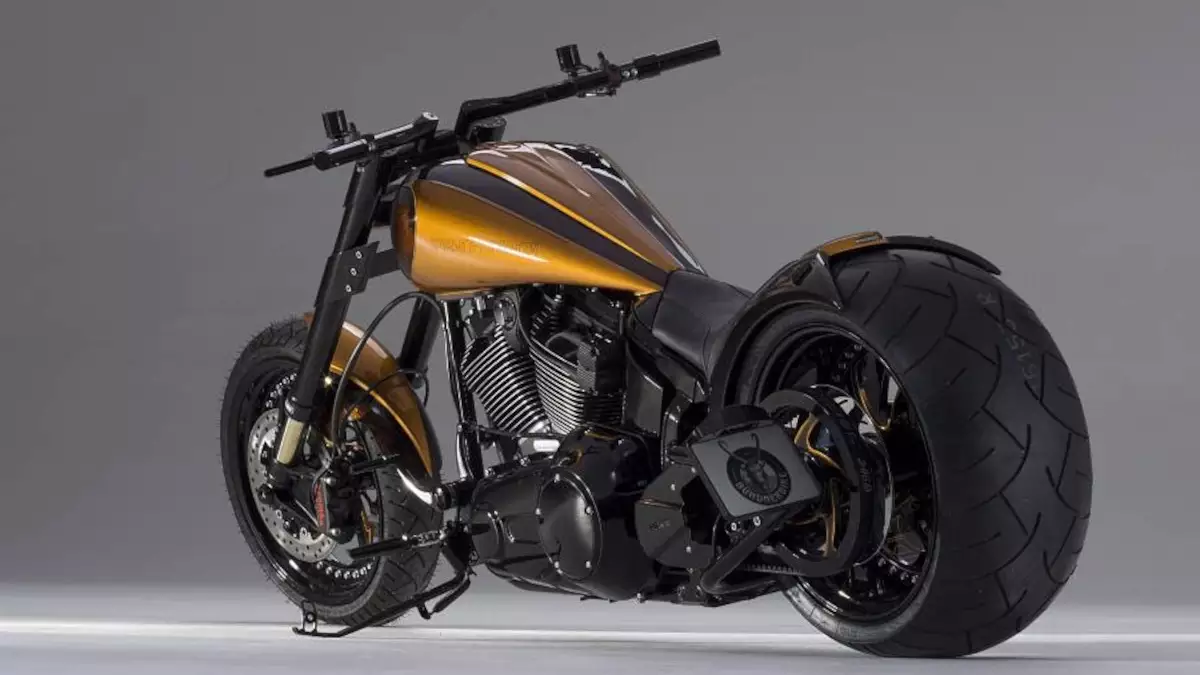 Harley-Davidson Softail COPPER ORE by Bündnerbike