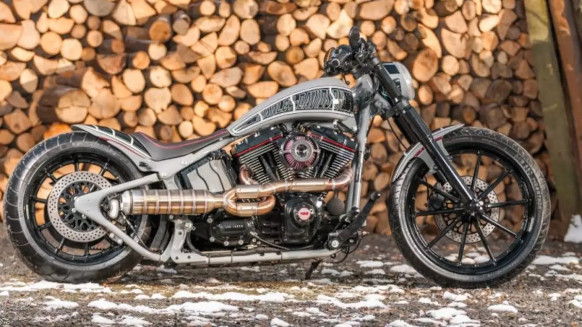 Harley-Davidson Softail Dragster ‘Gray Ground’ by BTChoppers