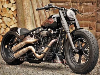 Harley-Davidson-Softail-hooligan-btchoppers-2