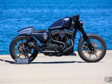 Harley-Davidson Sportster racing fred kodlin 1