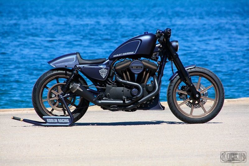 Harley-Davidson Sportster racing fred kodlin 1