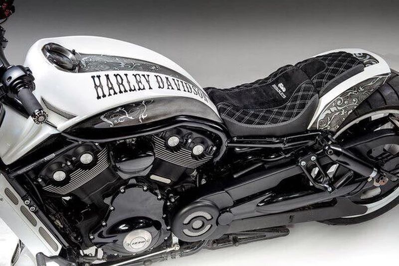 harley-Davidson V-Rod muscle 300 by Burmeisters
