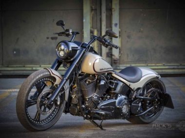 Harley-Davidson Softail Fat Boy by Rick’s Motorcycles 8