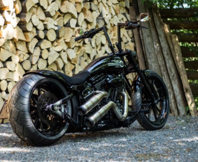 harley-davidson softail New bandit btchoppers 2