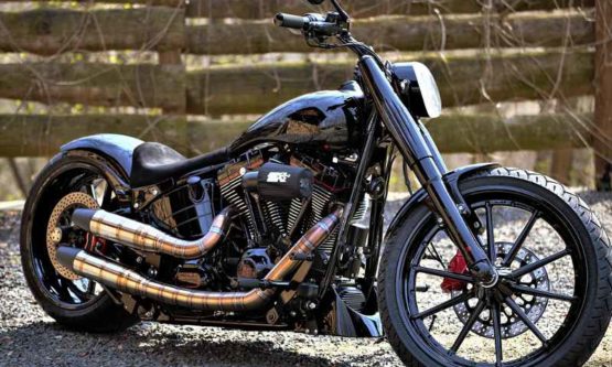 Harley-davidson Softail 