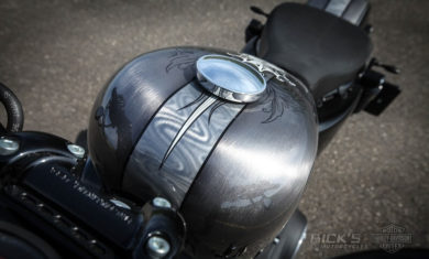 harley-davidson sportster Platinum by Rick's motorcycles