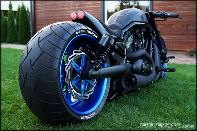 Night Rod Vrod HD Harley Davidson Sportster MUSCLE BLACK von ORLETANOS neu 
